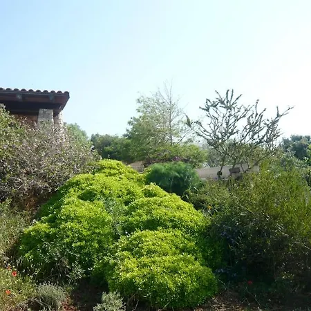 Petrosa, Pescoluse Torre Pali